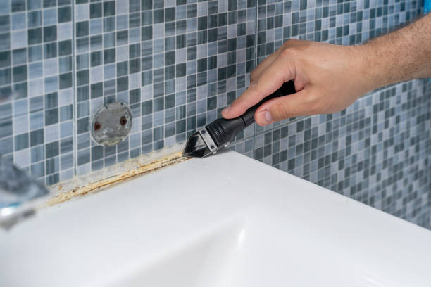 Reliable Perry, LA Mold Removal Solutions